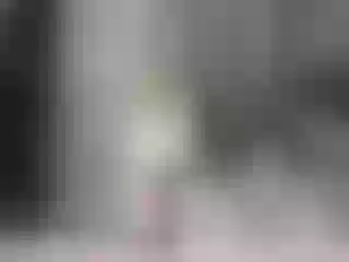 Live sex webcam photo for -Aisha- #183994178