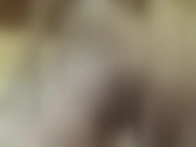 Live sex webcam photo for -Alena-a #293192632