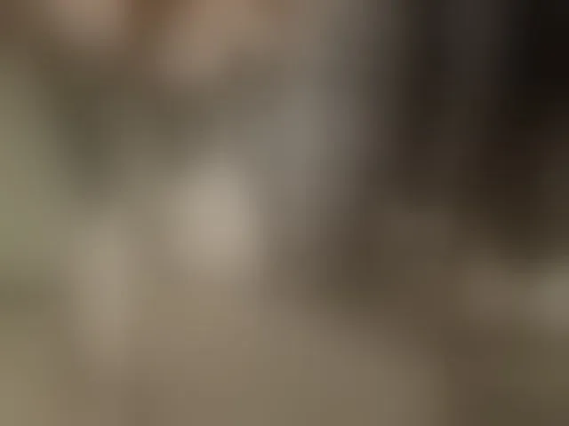 Live sex webcam photo for -Alena-a #293377454