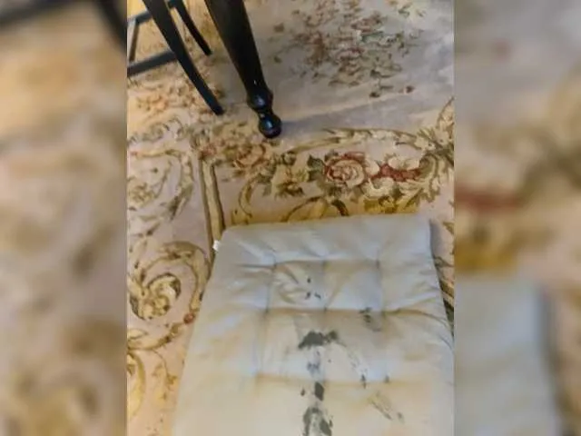 Live sex webcam photo for -Alessandra #276204725