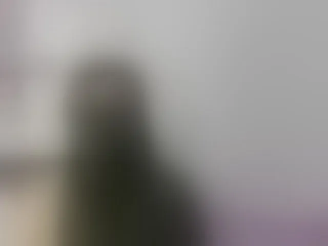 Live sex webcam photo for -Alisha #293684098