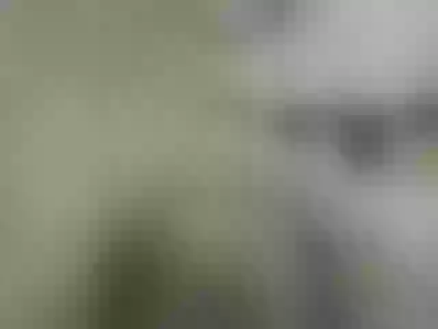 Live sex webcam photo for -BASTET- #291989751