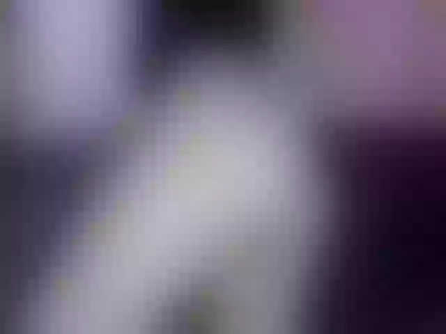 Live sex webcam photo for -Carolina- #273504462