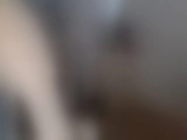 Live sex webcam photo for -Carolina- #293447068