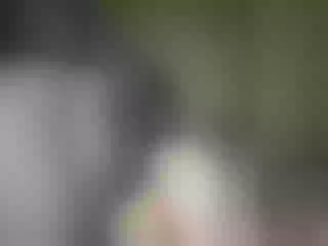 Live sex webcam photo for -CrystalZ- #290911360