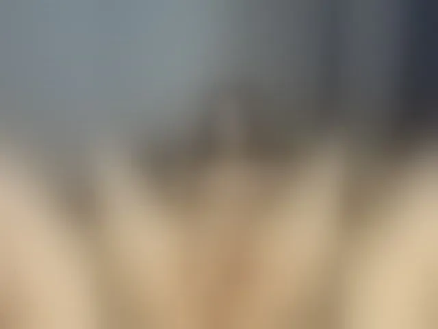 Live sex webcam photo for -CrystalZ- #291378046