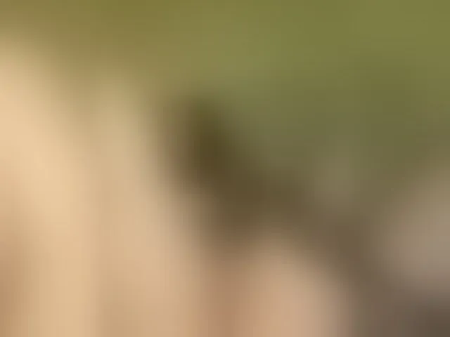 Live sex webcam photo for -CrystalZ- #292485322