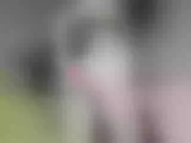 Live sex webcam photo for -Cupcake- #275634692