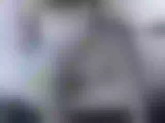 Live sex webcam photo for -FEMIDA- #276008810
