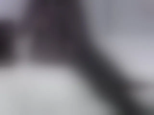 Live sex webcam photo for -FEMIDA- #293689370