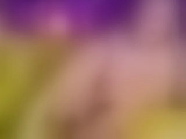 Live sex webcam photo for -Fresh- #292405764