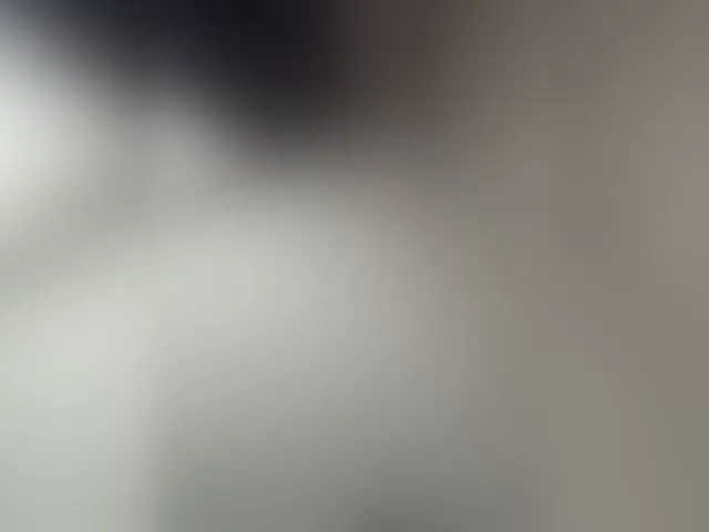 Live sex webcam photo for -Hennessy- #293479341