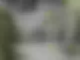 Live sex webcam photo for -I-A-M- #129294987