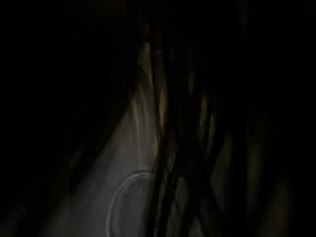 Live sex webcam photo for -INDICA- #276930883