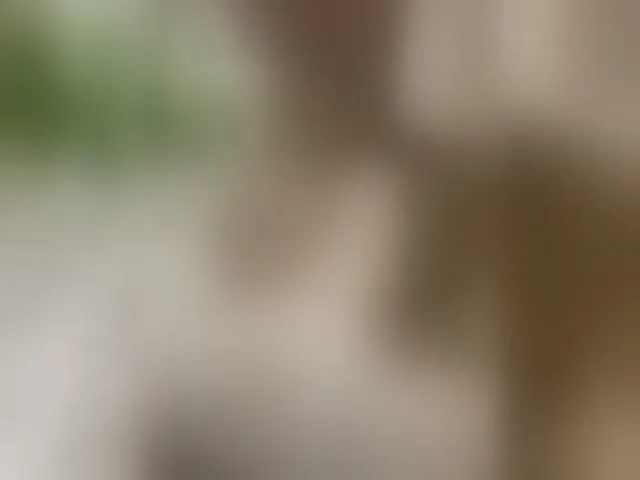 Live sex webcam photo for -Jolly- #293377407