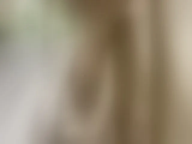 Live sex webcam photo for -Jolly- #293397381