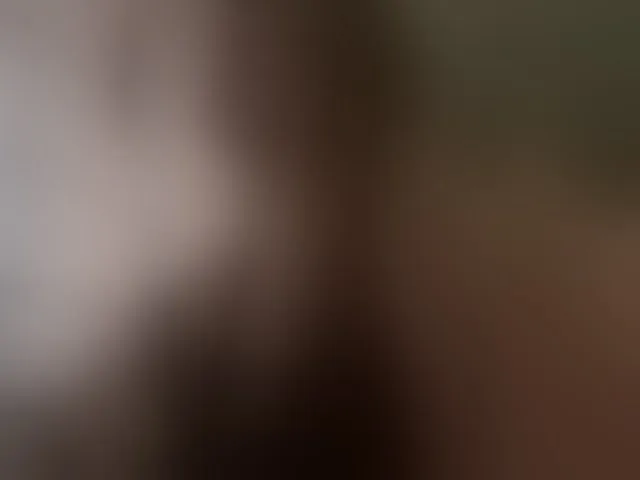 Live sex webcam photo for -Jolly- #293621328