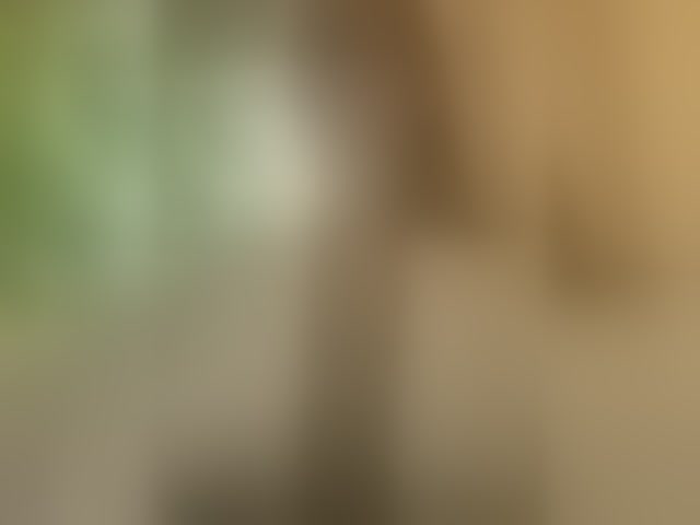 Live sex webcam photo for -Jolly- #294140779