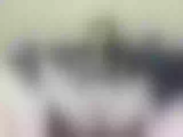 Live sex webcam photo for -Kara-mellka- #277582779
