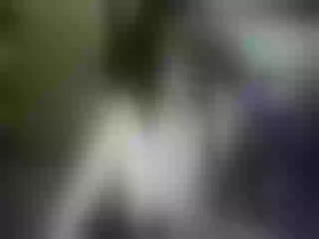 Live sex webcam photo for -Kara-mellka- #286363164