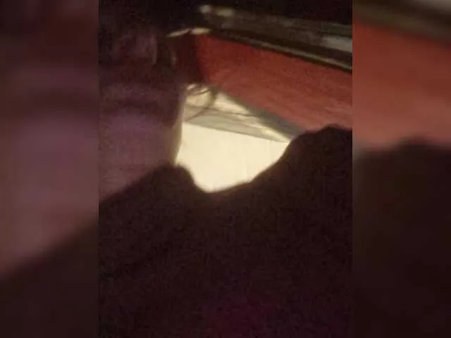 Live sex webcam photo for -KittY- #292211023