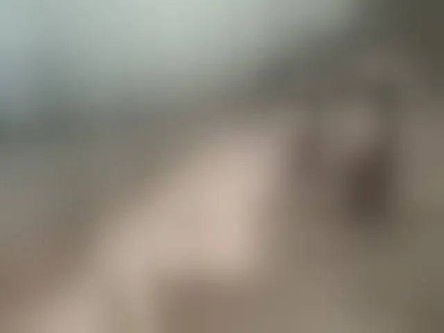 Live sex webcam photo for -LiaDark- #292387494