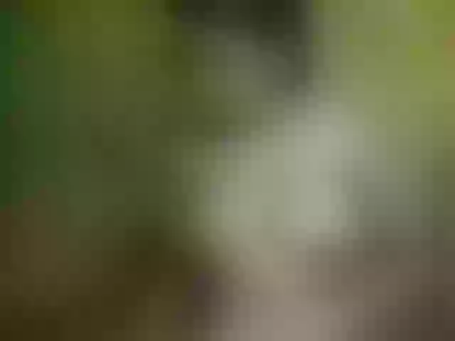 Live sex webcam photo for -Lolly- #273457785