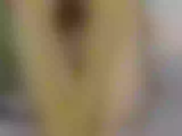 Live sex webcam photo for -Lorik- #276245845