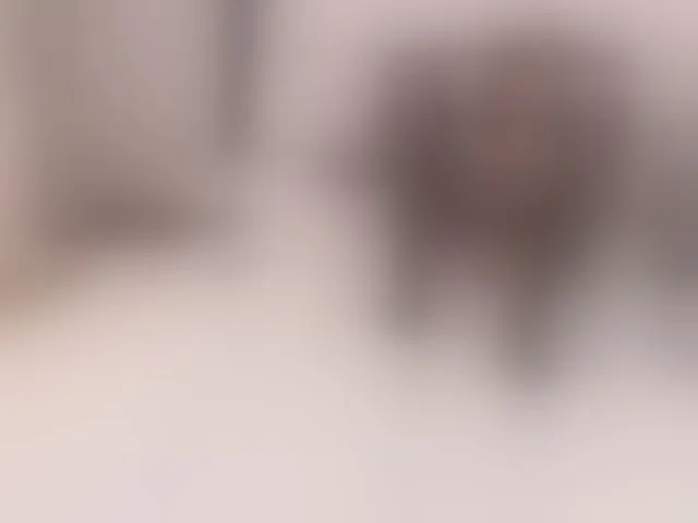Live sex webcam photo for -MARIDRAGON- #292765468