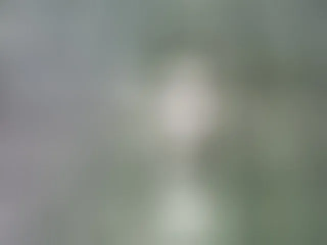 Live sex webcam photo for -Marcelline #292594864