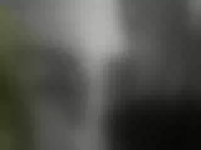 Live sex webcam photo for -Neva- #291957162