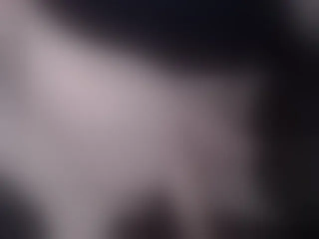 Live sex webcam photo for -Neva- #292595147