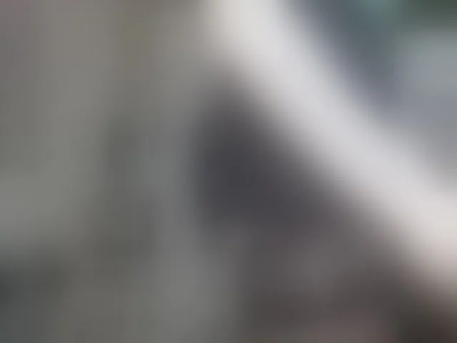 Live sex webcam photo for -Neva- #293577447
