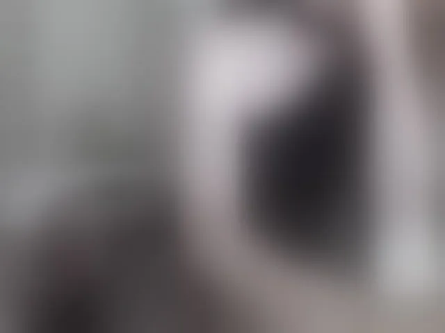Live sex webcam photo for -Neva- #293787779