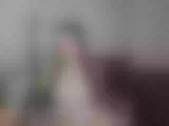Live sex webcam photo for -Pink-Sativa- #292121781