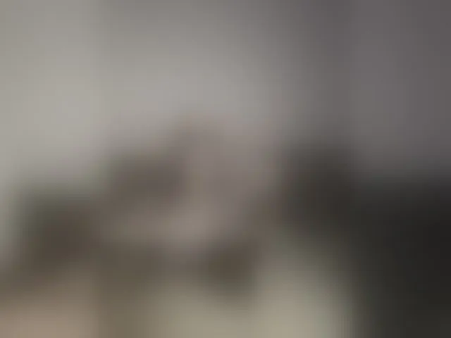 Live sex webcam photo for -Pink-Sativa- #292516726