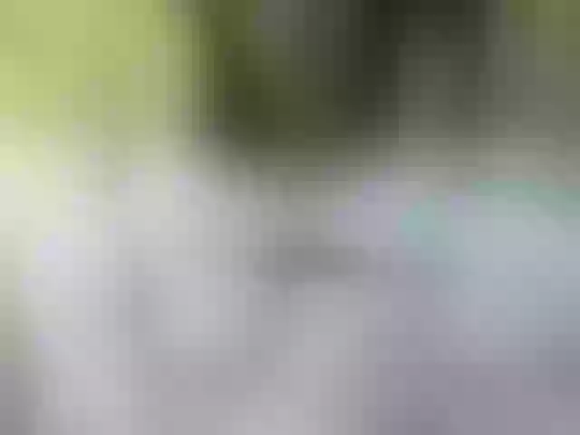 Live sex webcam photo for -Pypsiki- #291404590