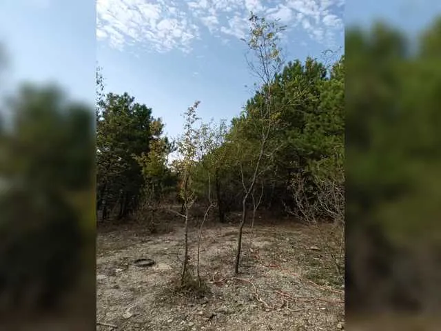 Live sex webcam photo for -Pypsiki- #292025999