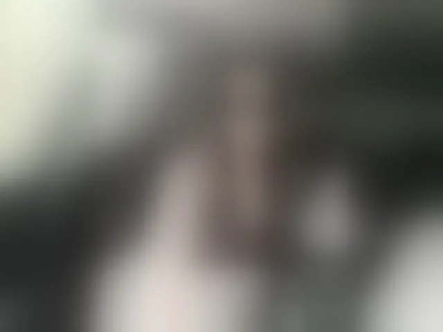 Live sex webcam photo for -Pypsiki- #293479304