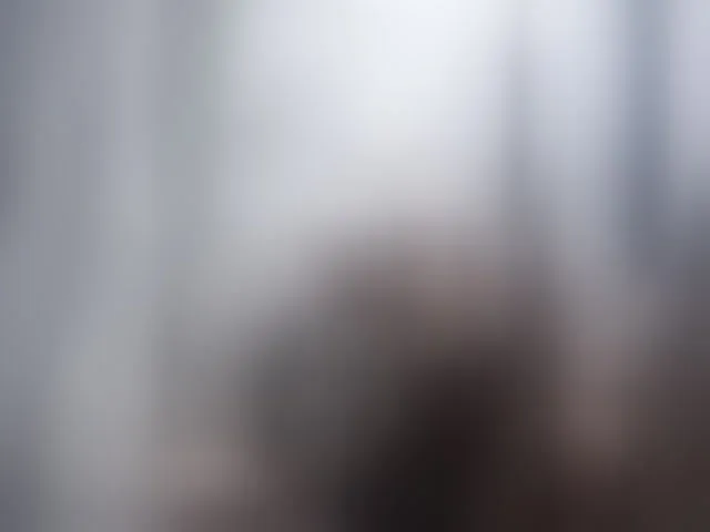 Live sex webcam photo for -RUS- #292748584