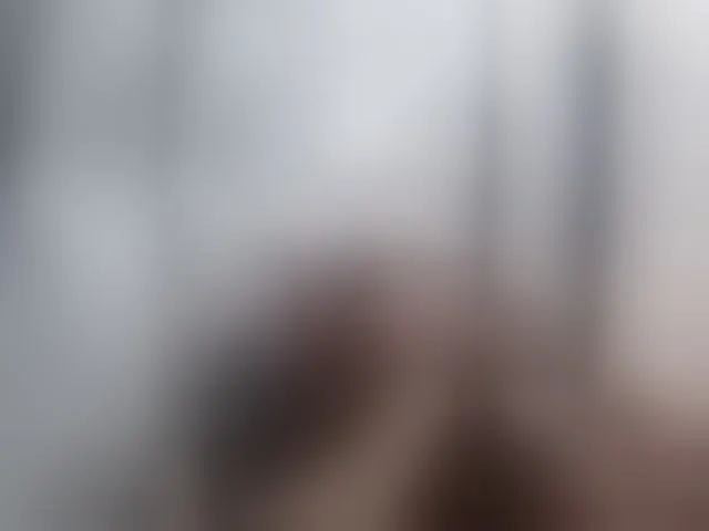 Live sex webcam photo for -RUS- #293253551