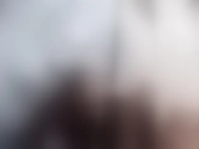 Live sex webcam photo for -RUS- #293262534