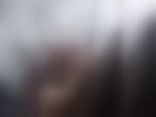 Live sex webcam photo for -RUS- #293349377