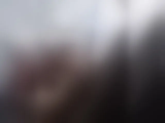 Live sex webcam photo for -RUS- #293363724