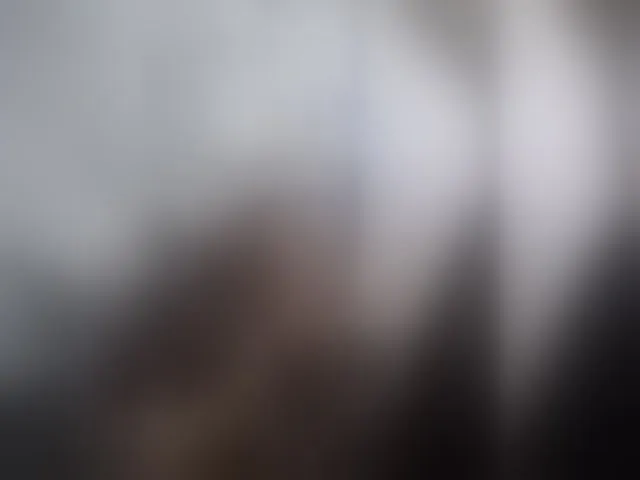 Live sex webcam photo for -RUS- #293378675