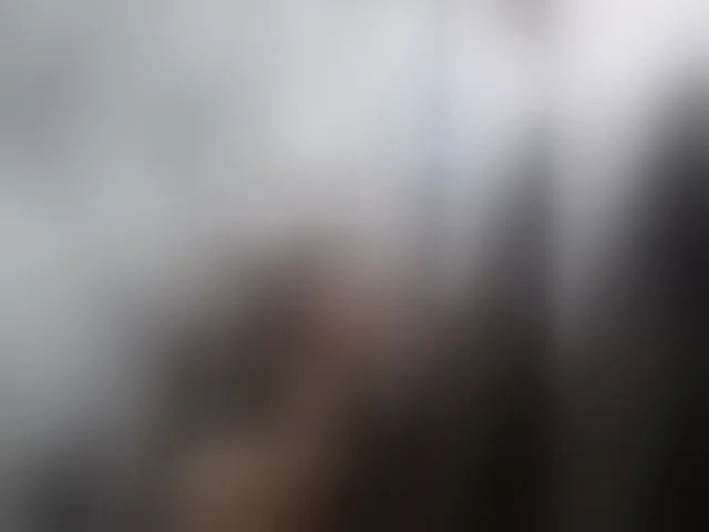 Live sex webcam photo for -RUS- #293386228