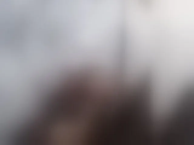 Live sex webcam photo for -RUS- #293388048