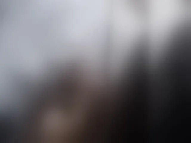 Live sex webcam photo for -RUS- #293407707