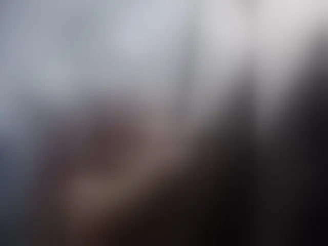 Live sex webcam photo for -RUS- #293429983