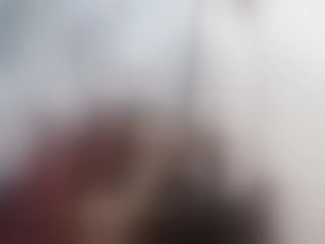 Live sex webcam photo for -RUS- #293459872